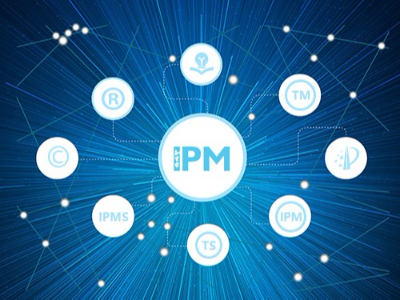 知識產(chǎn)權管理體系建設