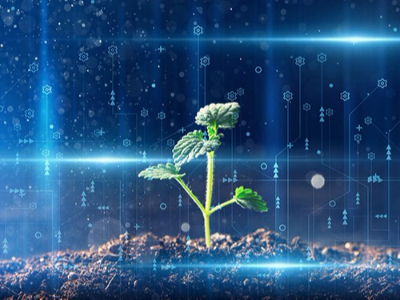 創(chuàng)新型企業(yè)體系建設