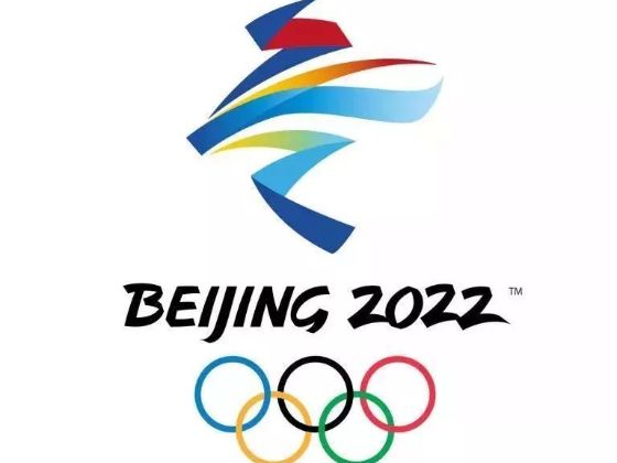 從冰墩墩看外觀專利布局