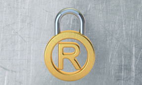 知識(shí)產(chǎn)權(quán)管家