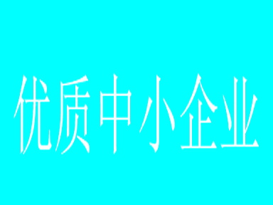 2022年創(chuàng)新型中小企業(yè)評價、專精特新中小企業(yè)認定和復核