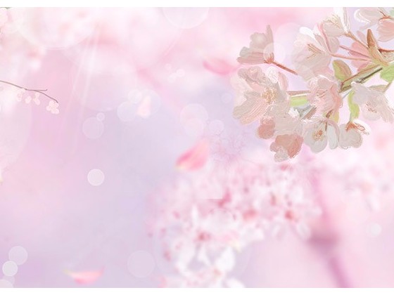 廣東省高技術(shù)產(chǎn)品及高技術(shù)服務(wù)調(diào)查表（二）